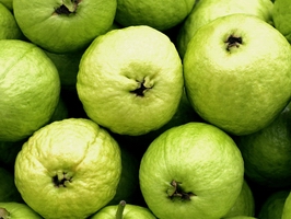 �c���鿴Ԕ��